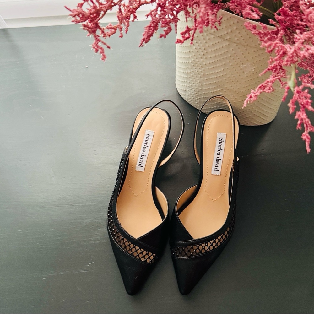 New! Charles David kitten heels